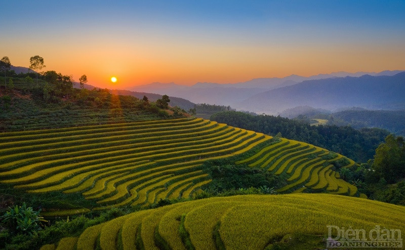 Hoàng hôn trên ruộng bậc thang