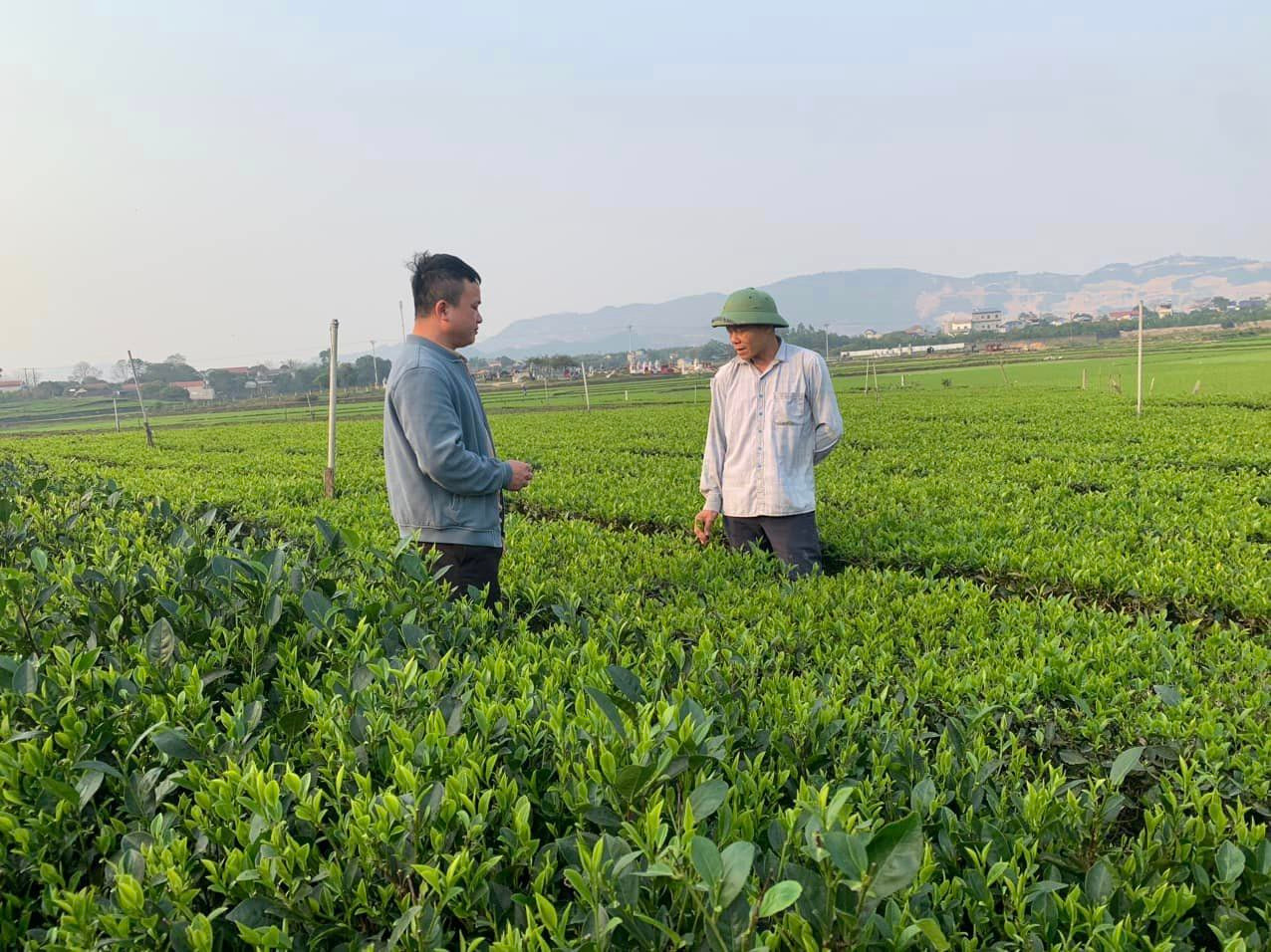 Chương trình mục tiêu quốc gia về giảm nghèo bền vững phù hợp với nguyện vọng của Nhân dân, đã thật sự đi vào cuộc sống, mang lại cuộc sống giàu đẹp cho Nhân dân (Hình minh họa – TNTV)