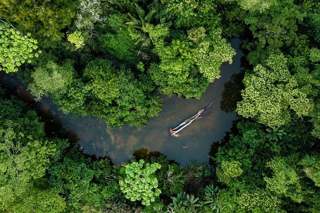 Động thái mới khiến các chuyên gia nghi ngờ mục tiêu phát thải ròng bằng 0 của EU vào 2050