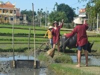 Liên kết điểm đến du lịch nông thôn Quảng Nam