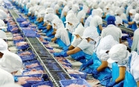 Quảng Ninh: Hỗ trợ doanh nghiệp tận dụng các FTA để phát triển