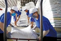Giá gạo tiếp tục lập đỉnh, doanh nghiệp lo tứ bề