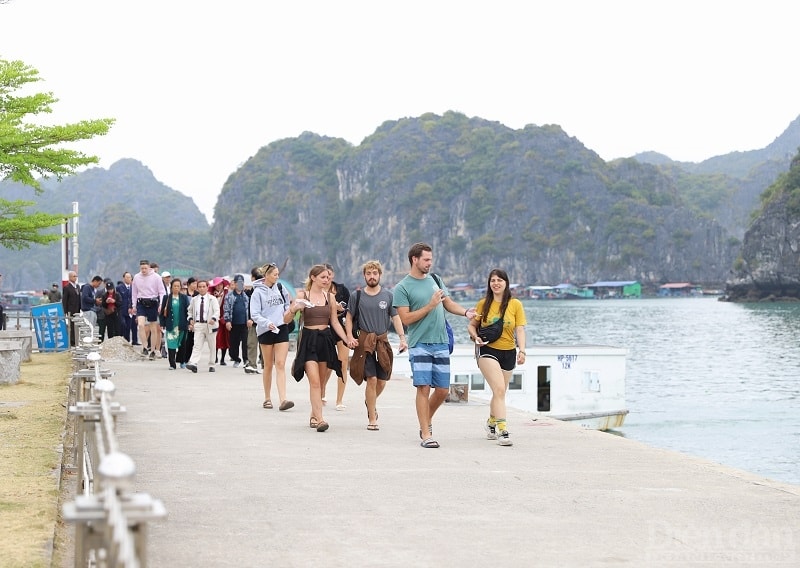 Du khách nước ngoài đến trải nghiệm tại xã Việt Hải, huyện Cát Hải, TP Hải Phòng