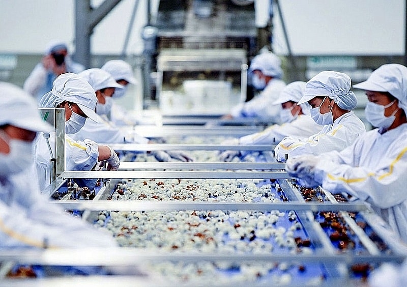 Doanh nghiệp phải đáp ứng nhiều tiêu chuẩn sản xuất mới có hiệu lực từ cuối năm 2023 để gia tăng xuất khẩu