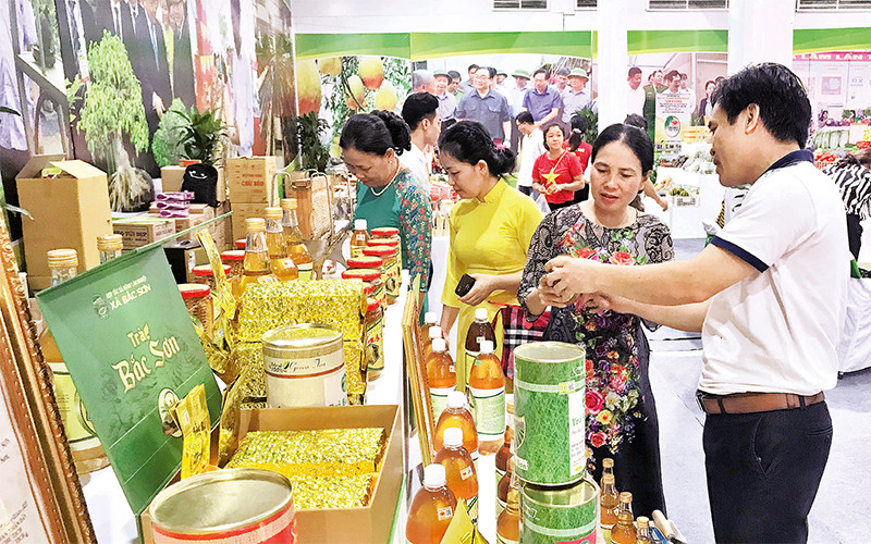 Đa phần sản phẩm bản địa là các loại thực phẩm tiêu dùng thiết yếu hàng ngày có nhiều lợi thế tiếp cận khách hàng nhưp/