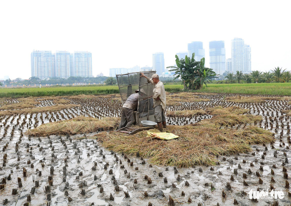 Người dân sinh nhai trên mảnh đất trước khi hình thành khu đô thị