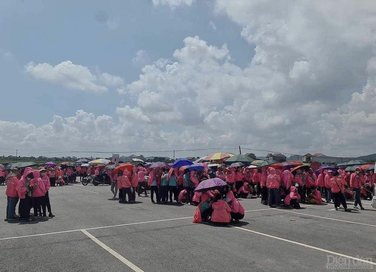 Sự việc hơn 6.000 công nhân Công ty TNHH Viet Glory ở huyện Diễn Châu, tỉnh Nghệ An đình công diễn ra vào đầu tháng 10/2023 vừa qua đã cho thấy sự khó khăn của doanh nghiệp hoạt động trên lĩnh vực xuất nhập khẩu