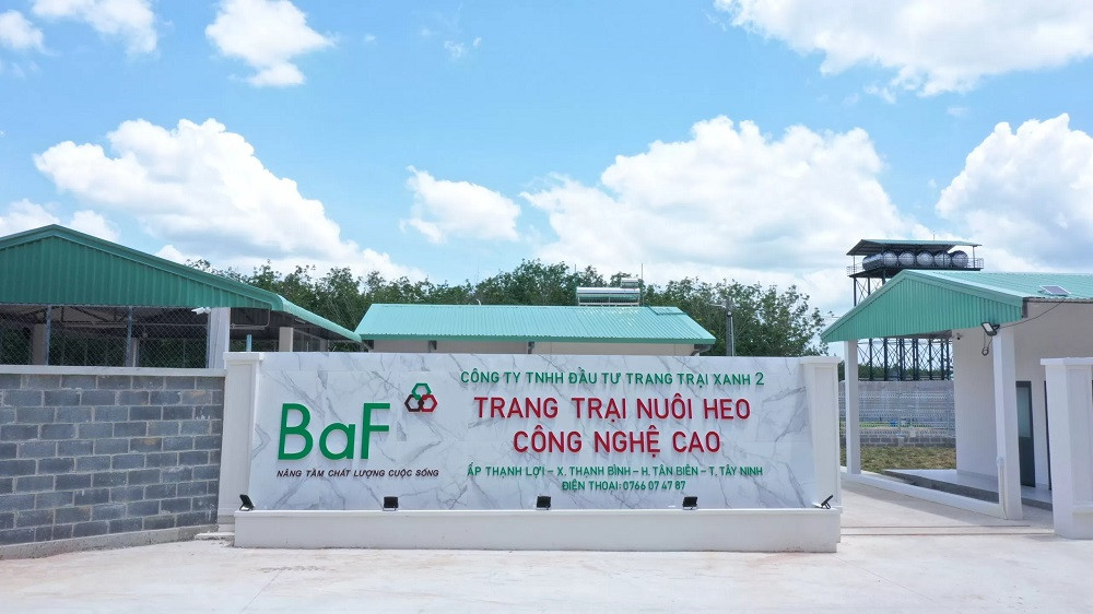 Động lực tăng trưởng doanh thu năm 2024 của BAF đến từ mảng 3F.