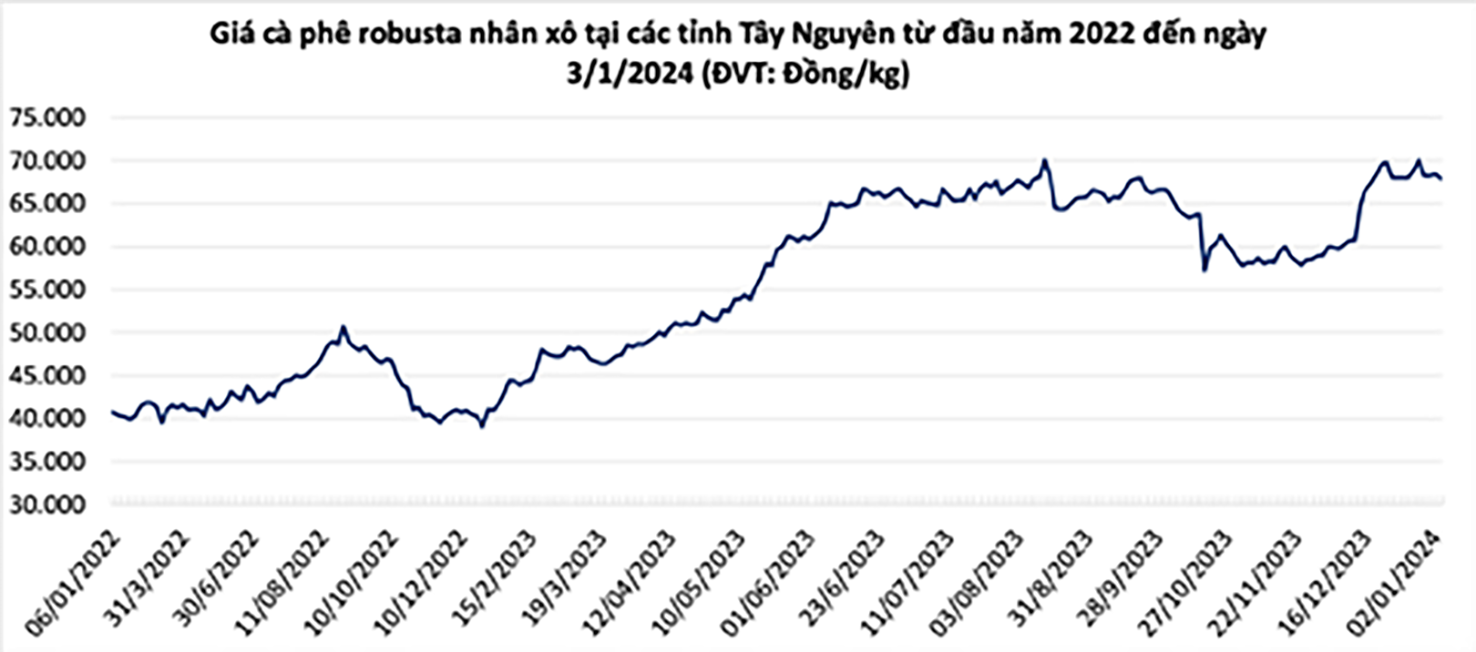 Tính chung cả năm 2023, giá cà phê tăng tới 70% và tiếp tục lan toả sang năm 2024