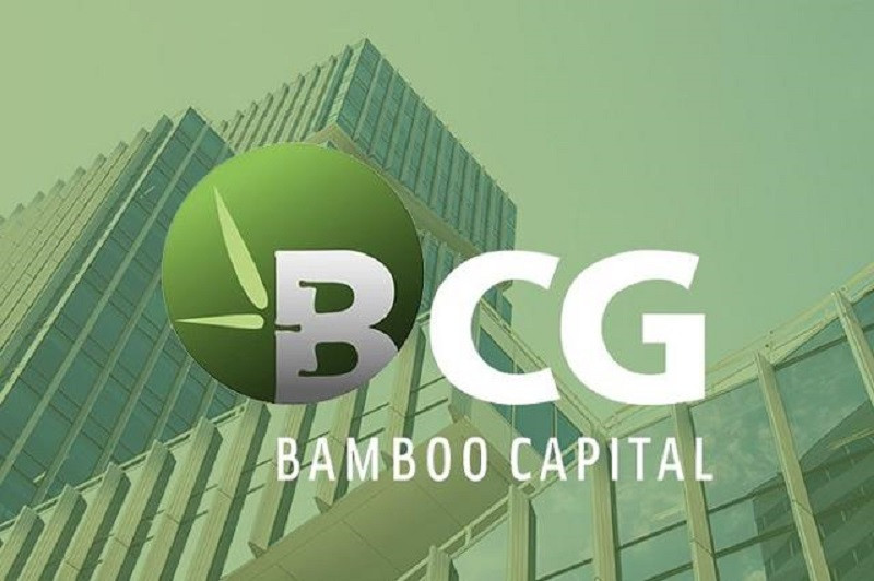 BCG 