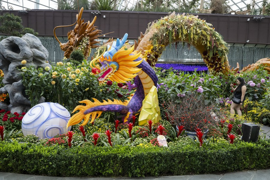 Flower Dome of Gardens by the Bay ở Singapore trang trí theo chủ đề năm con rồng