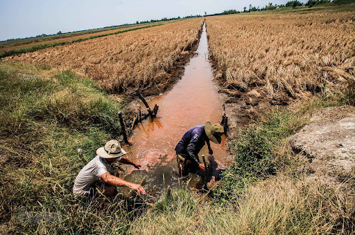 doanh nghiệp vùng ĐBSCL hiện vẫn đang đối mặt với nhiều vấn đề như biến đổi khí hậu (BĐKH), di dân, năng suất, chất lượng lao động… 