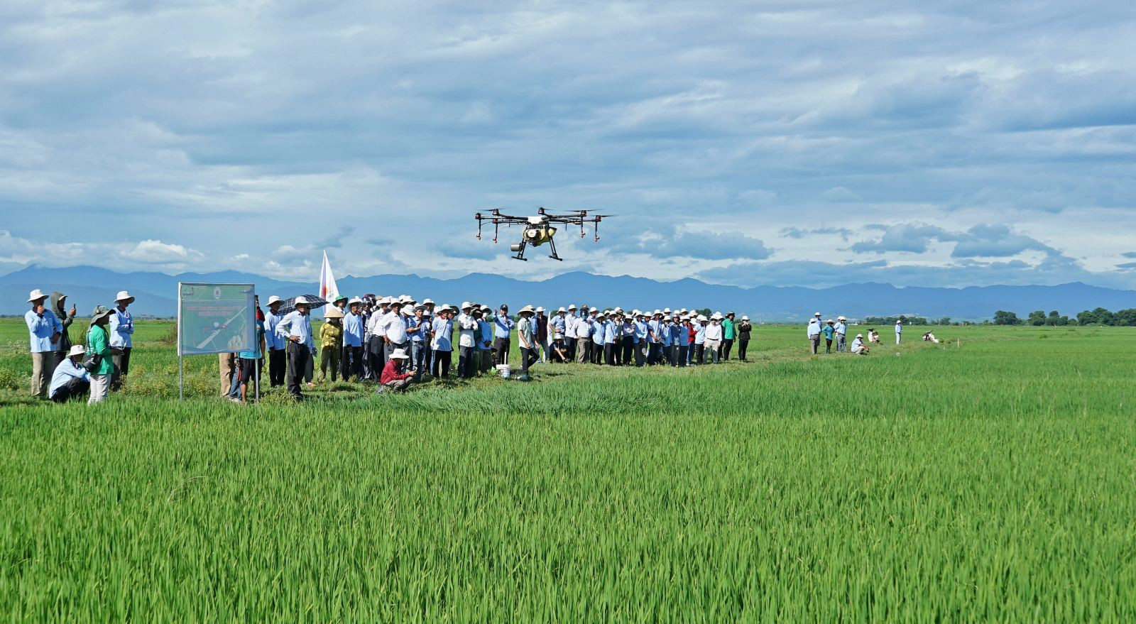 là đồng ruộng không dấu chân gắn với ứng dụng đồng bộ cơ giới hoá từ đầu vụ đến cuối vụ giúp người nông dân giảm nguy cơ phơi nhiễm hóa chất.