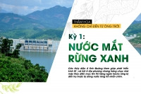 Thảm họa không không đến từ ông trời (Kỳ I): Nước mắt rừng xanh