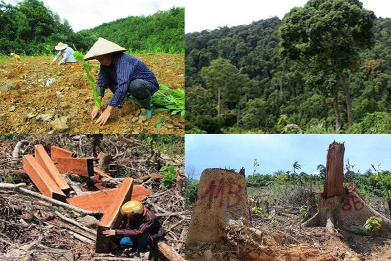 Việc thực hiện truy xuất nguồn gốc, định vị tận vườn và thông tin toàn bộ chuỗi cung đòi hỏi chi phí rất lớn và cần sự chung tay của rất nhiều bên liên quan