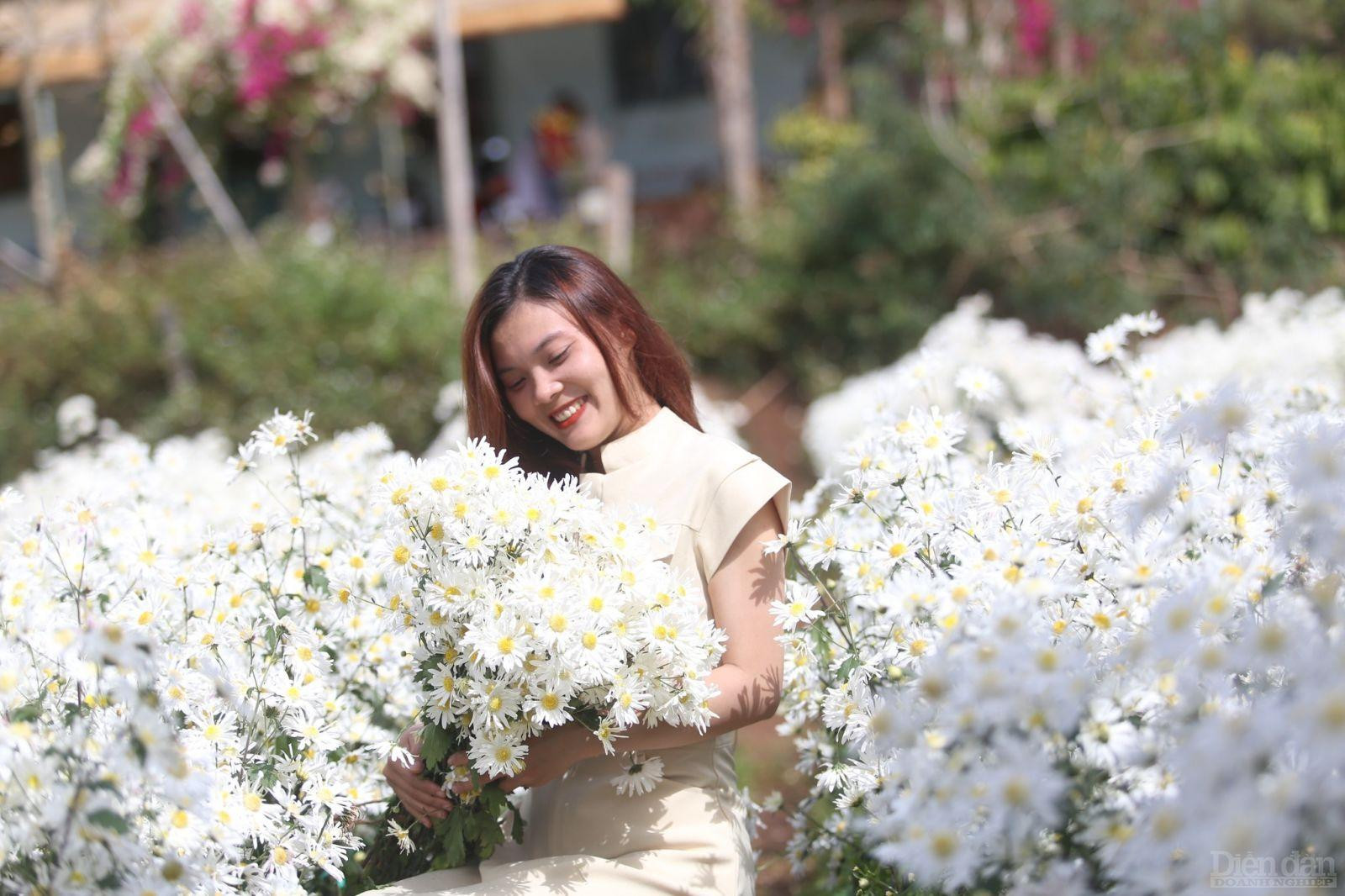 Du khách chìm đắm trong sắc hoa xuân ở Mai Châu Garden