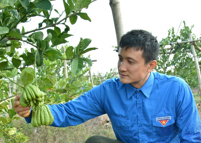 Như những “cánh én nhỏ” góp phần làm cho mùa xuân thêm sắc, nhiều bạn trẻ chọn cánh đồng làng khởi nghiệp, làm giàu cho gia đình, quê hương. Họ đang giúp cho những bức họa đồng quê thêm tươi đẹp, những thôn, xã là nơi đáng sống