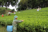 Thái Nguyên: Đồng bộ các giải pháp giảm nghèo bền vững