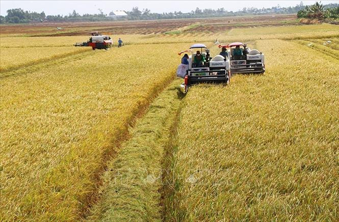 Các ngành nghề, lĩnh vực phát thải nhiều đang chịu áp lực chuyển đổi xanh rất lớn