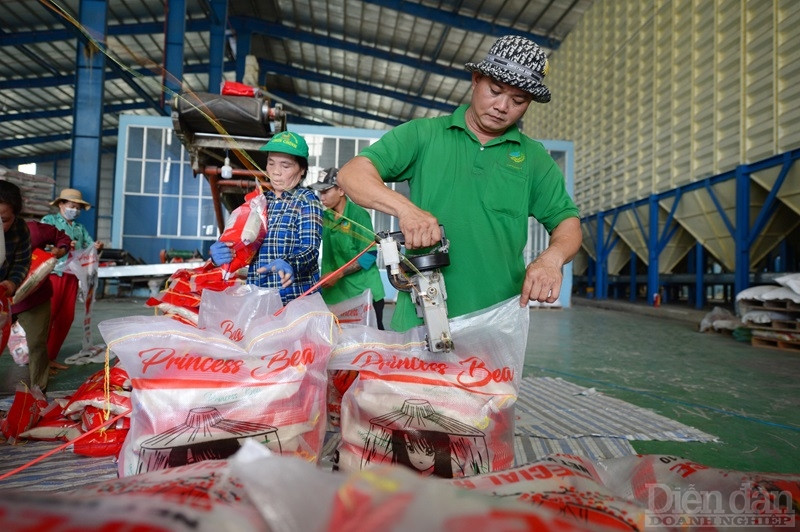 Tuy nhiên, việc xây dựng, bảo hộ thương hiệu cho các sản phẩm nông sản vẫn được cho là một điểm yếu suốt thời gian qua - Ảnh minh họa