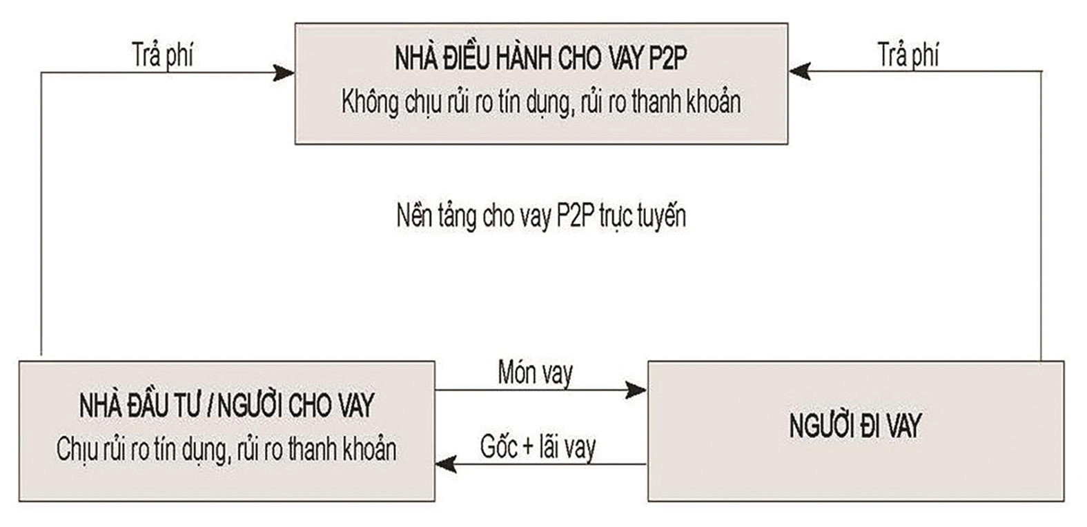  P2P lending có nhiều lợi thế hơn so với cho vay truyền thống nhưng cũng ẩn chứa nhiều rủi ro đối với nhà đầu tư. Nguồn: CGFS, FSB