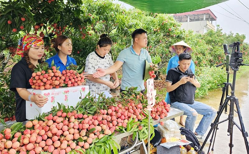 Thương hiệu, chất lượng và giá trị sản phẩm là ưu tiên mua sắm của người tiêu dùng