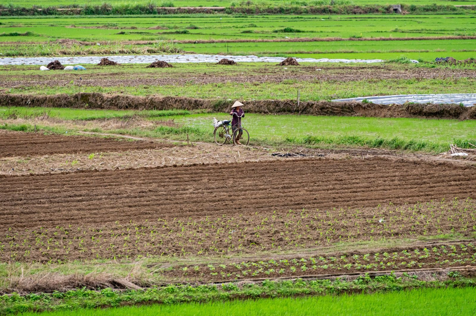 Không chỉ đặt vào tầm ngắm các công ty lớn, hàng hóa xuất khẩu sang EU từ các nước như Việt Nam cũng cần chuẩn bị cho các quy định mới này