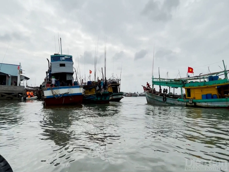 Chỉ còn 2 tháng nữa phái đoàn Ủy ban Châu Âu (EC) sẽ đến Việt Nam để tiến hành đợt kiểm tra lần thứ 5 và xem xét gỡ 