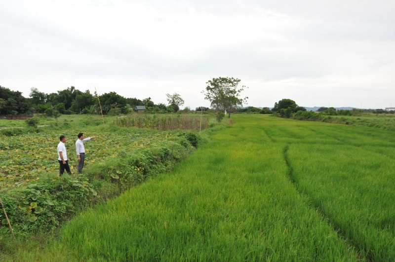 Quảng Ninh là địa phương đầu tiên trên cả nước được Thủ tướng Chính phủ phê duyệt Kế hoạch triển khai Quy hoạch tỉnh; trên cơ sở đó, tỉnh đã chỉ đạo thực hiện rà soát, lập, điều chỉnh các quy hoạch có liên quan, nhất là kế hoạch sử dụng đất cấp tỉnh, cấp huyện theo quy định bảo đảm thống nhất, đồng bộ (Ảnh: Báo Quảng Ninh)