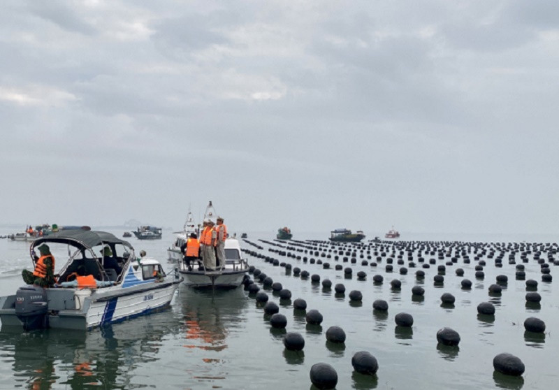 Vùng biển Quảng Ninh là nơi sinh sống của nhiều loài có giá trị, tạo ra cơ hội lớn cho phát triển nuôi trồng và đánh bắt thủy sản, đặc biệt phục vụ xuất khẩu, công nghiệp chế biến thực phẩm giá trị cao (Ảnh: Báo Quảng Ninh)