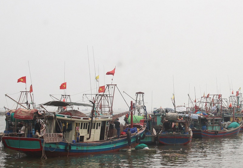 Đến tháng 4/2024, huyện Tiền Hải có 254 tàu khai thác hải sản có chiều dài từ 6m trở lên (Ảnh: Báo Thái Bình)