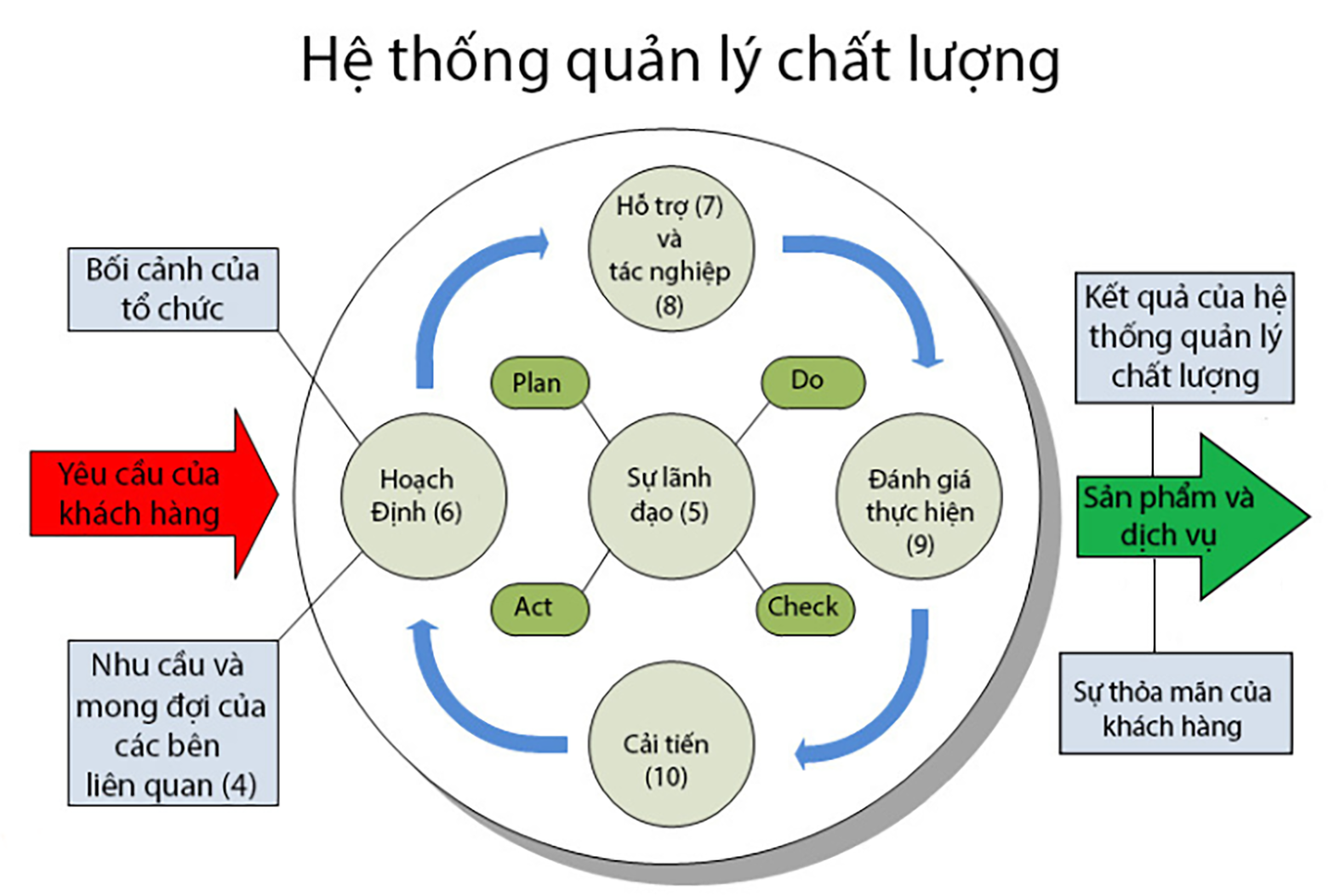  Vòng tròn Deming - phương pháp quản lý hiệu quả, được sử dụng rộng rãi trong nhiều lĩnh vực.