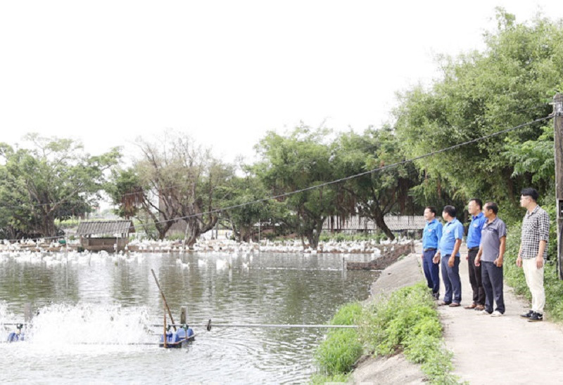 Tham quan mô hình phát triển kinh tế tiêu biểu của thanh niên trên địa bàn huyện Hải Hậu (Ảnh: Báo Nam Định)