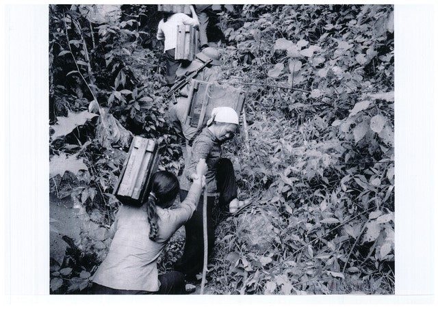 100 hình ảnh về 