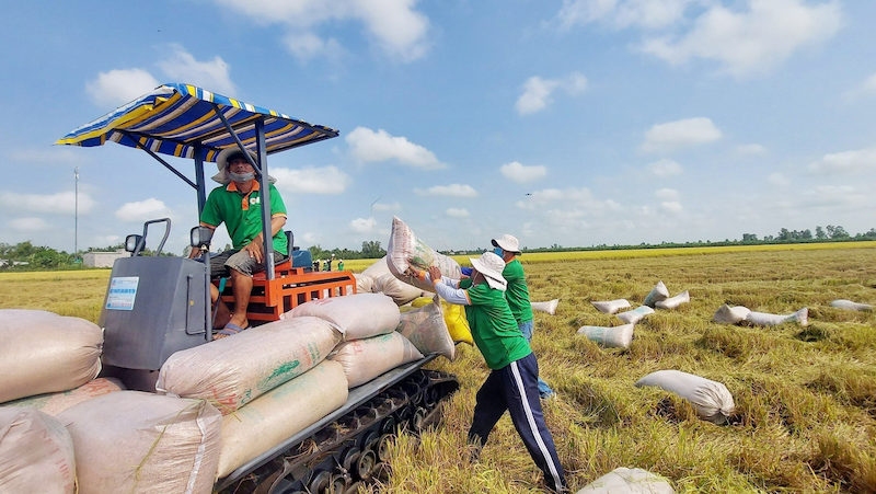 Việt Nam là nhà cung ứng gạo quan trọng, luôn giữ vị thế số 1 xuất khẩu gạo vào thị trường Philippines.