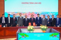 Hải Phòng: Thúc đẩy hợp tác với Nam Ninh và Thâm Quyến (Trung Quốc) trong lĩnh vực giao thông, logistics