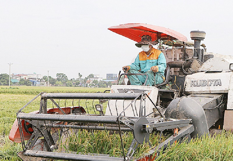 Đăng ký MSVT là có thể được coi là chìa khóa trong việc xây dựng lòng tin về chất lượng, uy tín nông sản, là điều kiện cần thiết và là bước tiến quan trọng cần phải làm để nông sản Nam Định tạo được niềm tin với người tiêu dùng (Ảnh minh họa)