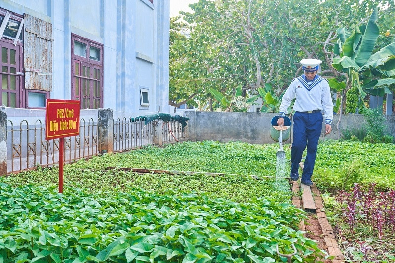 Ươm thêm mầm xanh cho Trường Sa