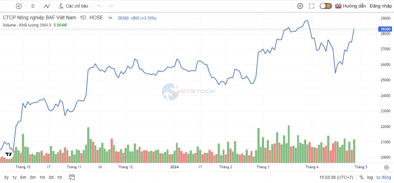 Giá cổ phiếu BAF giữ sự tăng trưởng ổn định từ đầu năm 2023 đến nay từ vùng giá 17 lên gần 30.