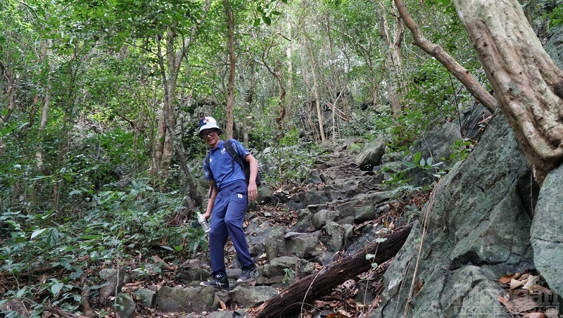 Cung đường từ Vườn quốc gia Cát Bà đến xã đảo Việt Hải dài khoảng 9 km là thử thách với những trải nghiệm ấn tượng với du khách khi đến với quần đảo Cát Bà