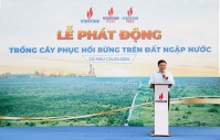 Petrovietnam phát động trồng cây phục hồi rừng trên đất ngập nước