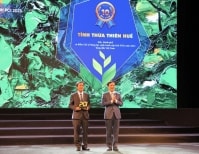 PCI 2023: Thừa Thiên Huế năm thứ 3 liên tiếp nằm trong top 10