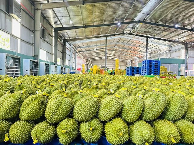 Mở cửa thị trường nông sản còn nhiều khó khăn
