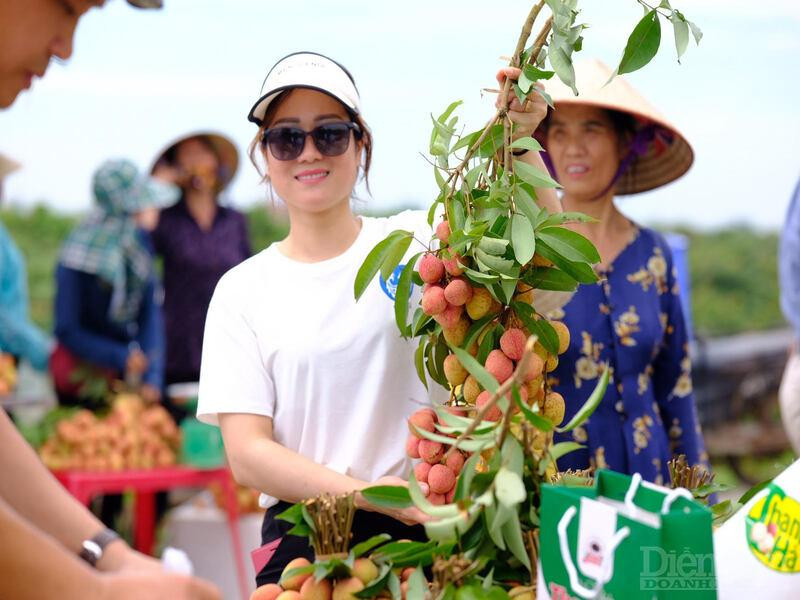 Khách du lịch thăm quan vườn vải Thanh Hà