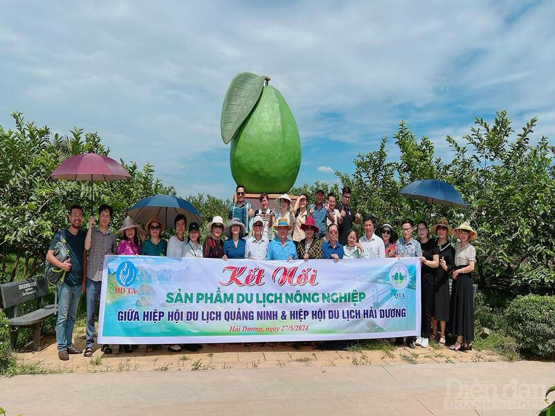 Vải thiều Thanh Hà trở thành một điểm nhấn trong hành trình đưa du khách khám phá vẻ đẹp giàu truyền thống, văn hóa của đất và người xứ Đông, từ đó lan tỏa được giá trị và thương hiệu tới người tiêu dùng trong nước và thế giới.