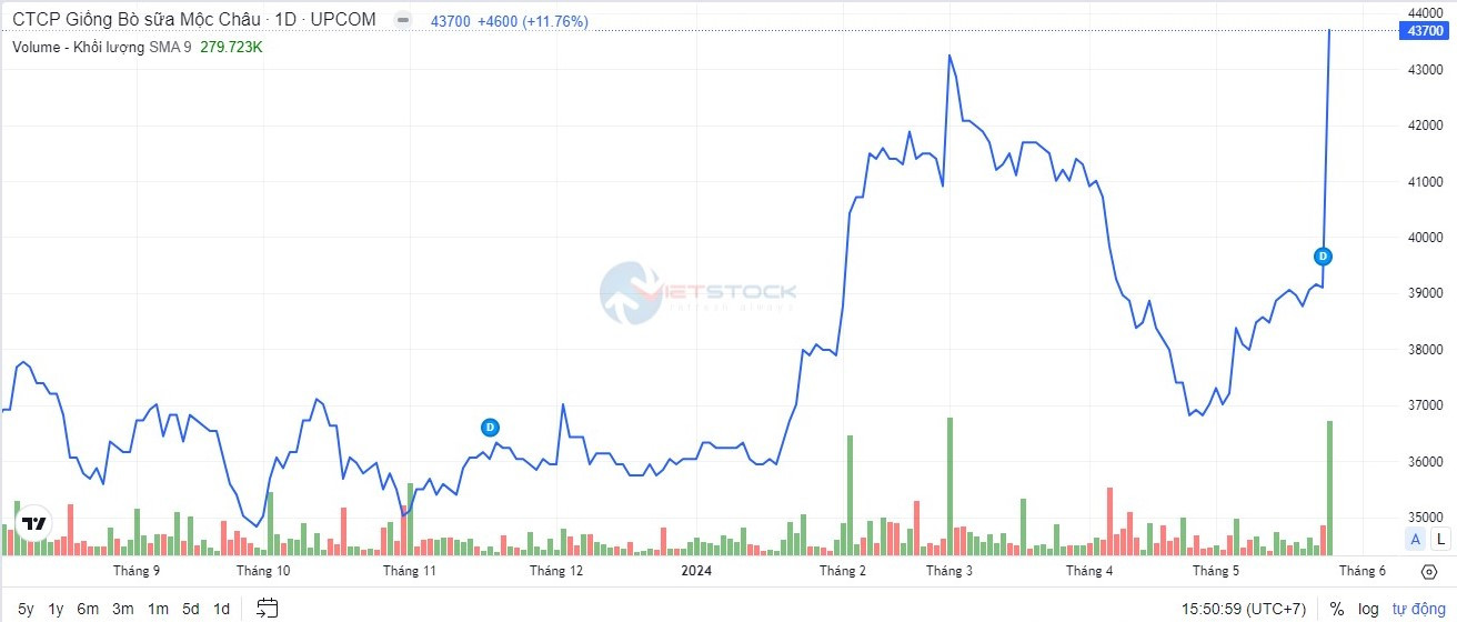 Trên sàn UpCOM, cổ phiếu MCM đang có mức tăng trưởng ấn tượng, từ vùng giá 