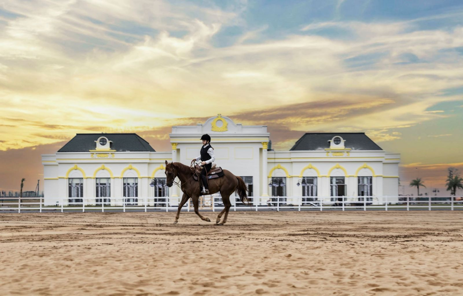 Học viện cưỡi ngựa Vinpearl Horse Academy Vũ Yên ra mắt mang tới nhiều trải nghiệm lần đầu trong đời cho du khách