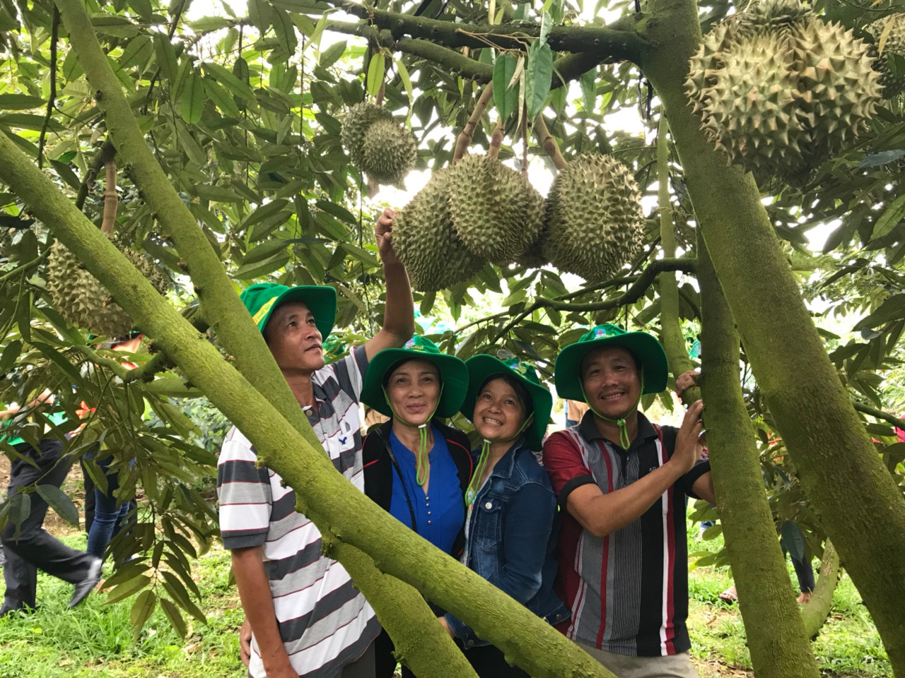 Phân bón Phú Mỹ với mong muốn đồng hành cùng nhà vườn, đã không ngừng nghiên cứu, phát triển những sản phẩm chất lượng cao, phù hợp với đặc thù thổ nhưỡng và cây trồng tại Miền Trung - Tây Nguyên.