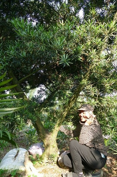 Xã Bách Thuận – Vũ Thư, Thái Bình vươn mình phát triển mô hình làng du lịch sinh thái cộng đồng