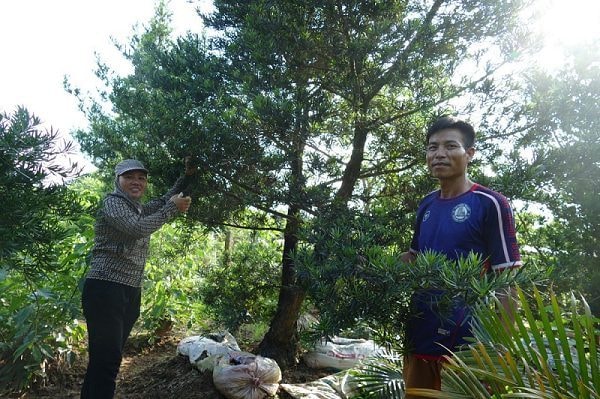 Xã Bách Thuận – Vũ Thư, Thái Bình vươn mình phát triển mô hình làng du lịch sinh thái cộng đồng